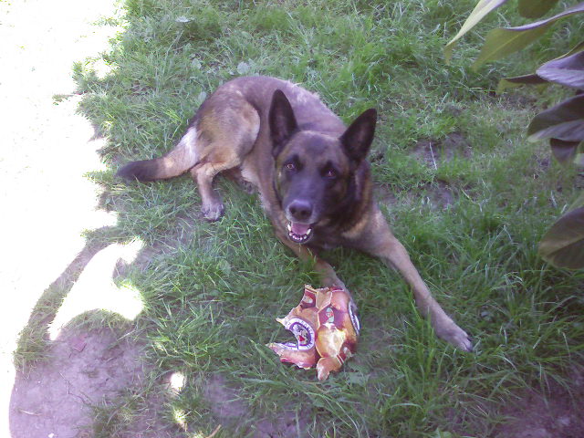 Et encore en pleine forme...